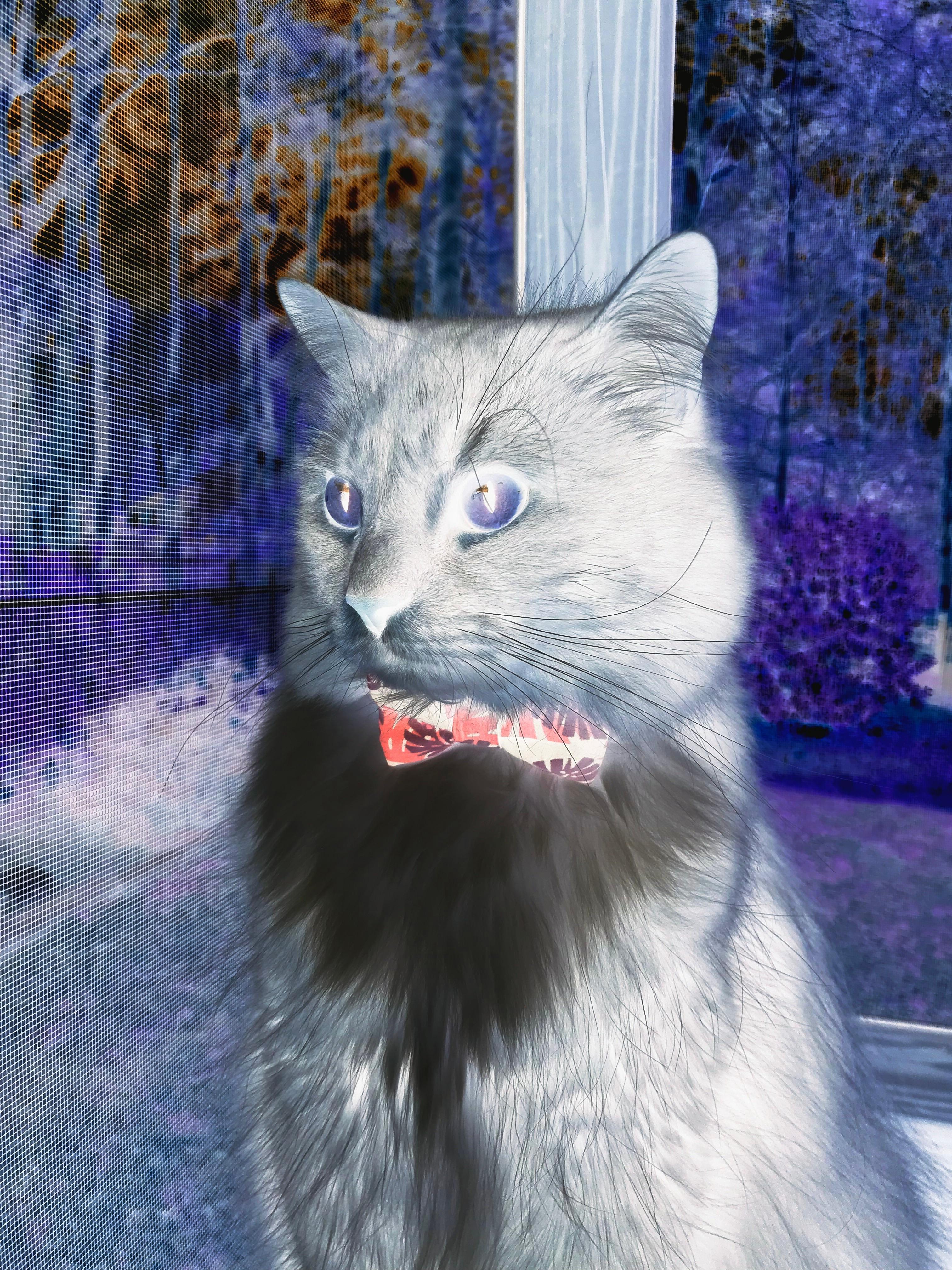 足球青训体系改革落地 基层联赛稳步推进，2021年足球青训